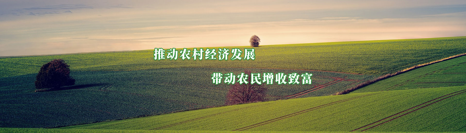 首页|bifa必发集团中国官方网站