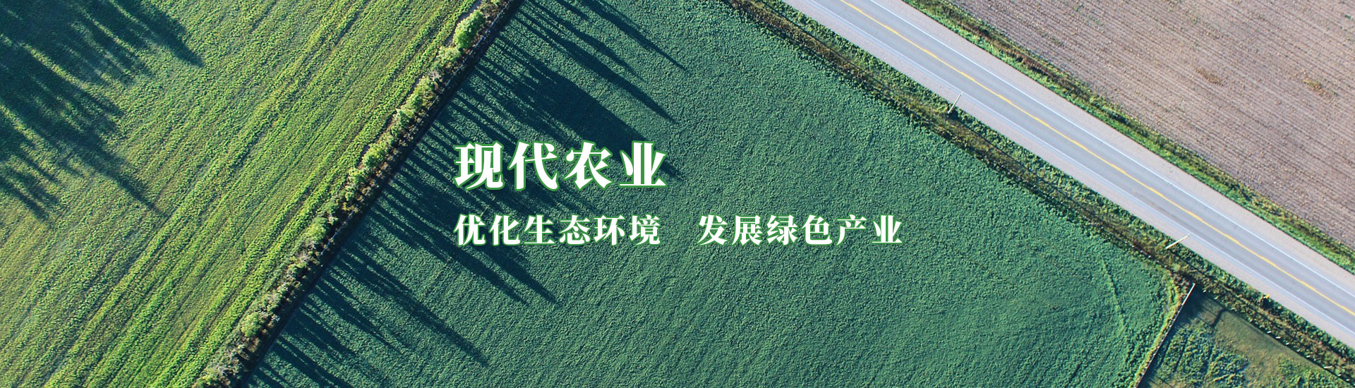 首页|bifa必发集团中国官方网站