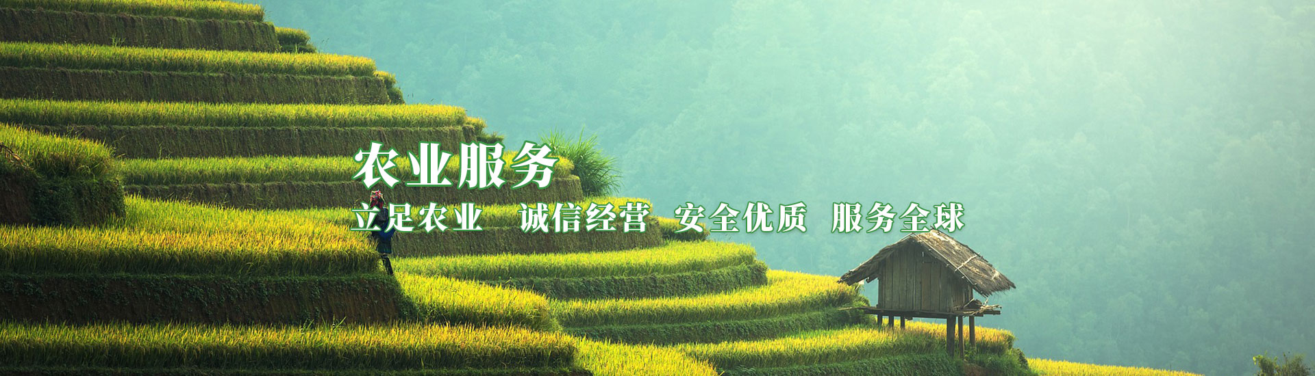 首页|bifa必发集团中国官方网站