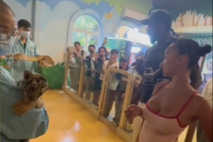 有爱瞬间！杰伦·格林来到动物园 与幼老虎手拉手亲切互动