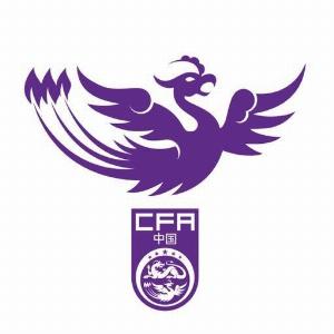 U18女足集训名单：王洪亮挂帅姜宁出任训练员，共25名球员入选