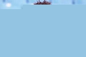 新的起点！段睿骐初次参与队内合练，积极融入，打磨共同！