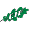 EIF？四伤